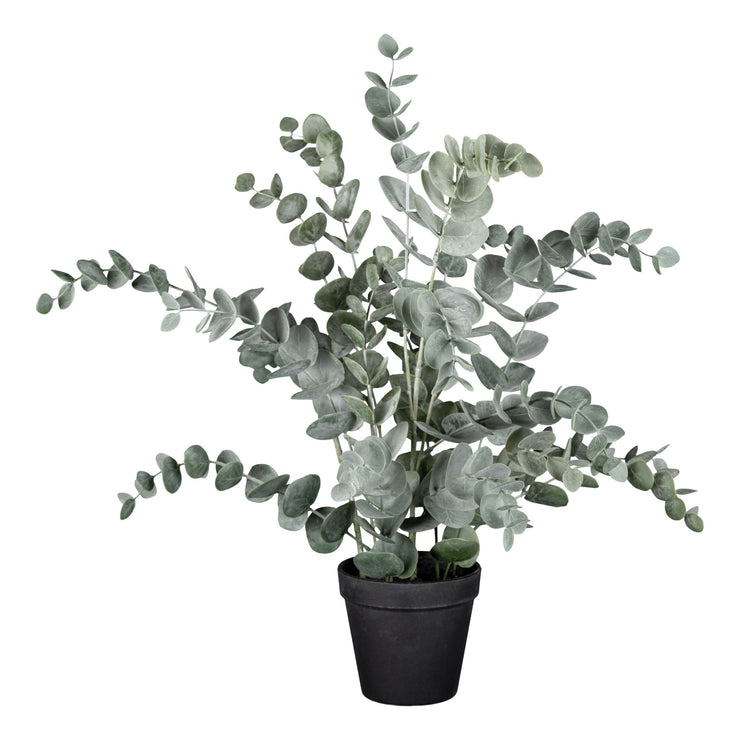 Kunstige Blomster - Eucalyptus i potte H60cm