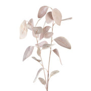 Eucalyptus Stilk Pink Velvet