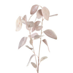 Eucalyptus Stilk Pink Velvet