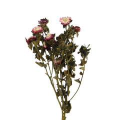 Kunstige Blomster - Bundt Mark Blomster