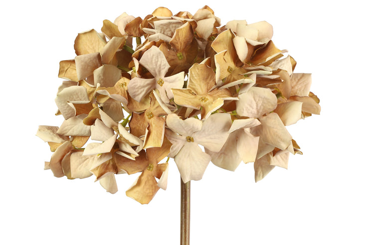 Kunstige Blomster - Hortensia Beige H62cm