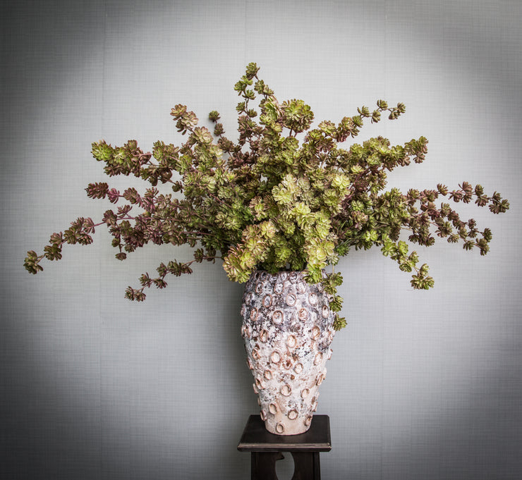 Succulent Gren - 105cm