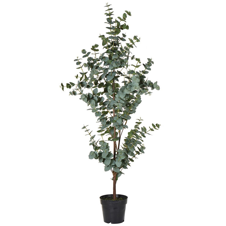Kunstigt Eucalyptus Træ - H150cm