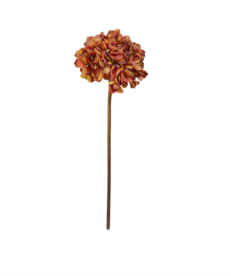 Kunstige Blomster Hortensia Brændt Orange L 60cm
